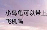 小乌龟可以带上飞机吗 小乌龟能带上飞机吗