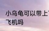 小乌龟可以带上飞机吗 小乌龟能带上飞机吗