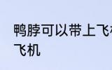 鸭脖可以带上飞机吗 鸭脖能不能带上飞机
