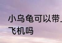 小乌龟可以带上飞机吗 小乌龟能带上飞机吗
