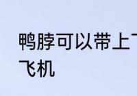 鸭脖可以带上飞机吗 鸭脖能不能带上飞机