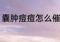 囊肿痘痘怎么催熟 囊肿痘痘如何催熟