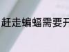 赶走蝙蝠需要开灯吗 赶走蝙蝠怎么做