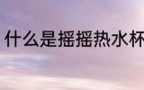 什么是摇摇热水杯 摇摇热水杯的介绍