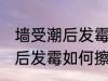 墙受潮后发霉怎么办才能擦掉 墙受潮后发霉如何擦掉