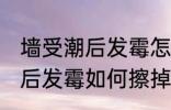 墙受潮后发霉怎么办才能擦掉 墙受潮后发霉如何擦掉