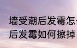 墙受潮后发霉怎么办才能擦掉 墙受潮后发霉如何擦掉