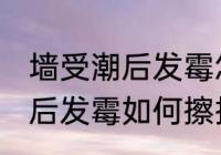 墙受潮后发霉怎么办才能擦掉 墙受潮后发霉如何擦掉