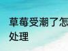草莓受潮了怎么办 草莓干受潮了如何处理