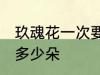 玖魂花一次要泡几朵 玖魂花一次要泡多少朵