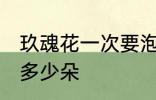 玖魂花一次要泡几朵 玖魂花一次要泡多少朵