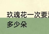 玖魂花一次要泡几朵 玖魂花一次要泡多少朵