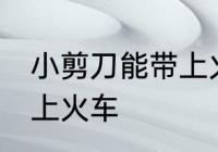 小剪刀能带上火车吗 小剪刀能不能带上火车