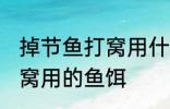 掉节鱼打窝用什么最好 如何做钓鱼打窝用的鱼饵