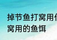 掉节鱼打窝用什么最好 如何做钓鱼打窝用的鱼饵