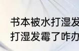书本被水打湿发霉了怎么办 书本被水打湿发霉了咋办