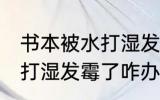 书本被水打湿发霉了怎么办 书本被水打湿发霉了咋办