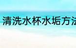 清洗水杯水垢方法 如何清洗水杯水垢